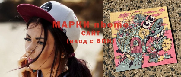 стафф Бердск