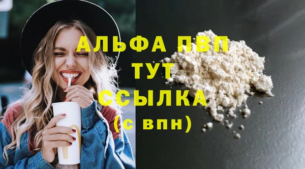 спайс Вяземский