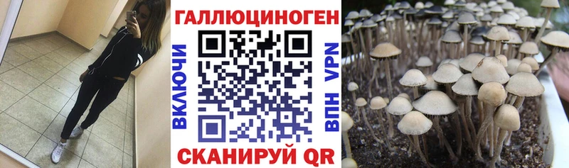 Псилоцибиновые грибы GOLDEN TEACHER дарнет шоп kraken рабочий сайт Дивногорск